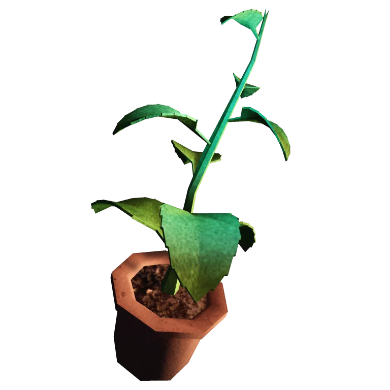Green Herb