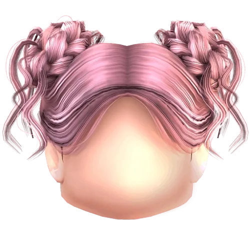 Braided Buns Hair
