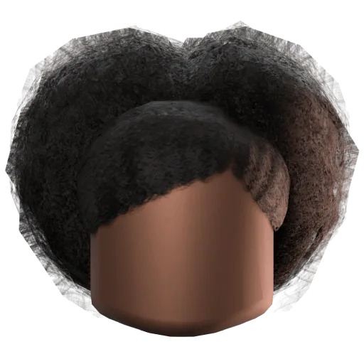 Double Afro Puff Hair