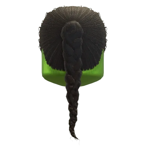 Elphaba's Shiz Hair