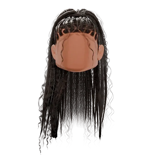 Fulani Braided Ponytail Hair