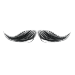 Handlebar Moustache