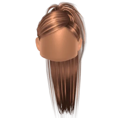 High Ponytail Hair