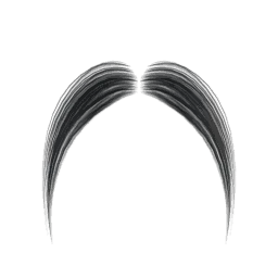Horseshoe Moustache