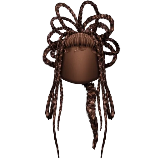 Looped Sculptural Braids Hair