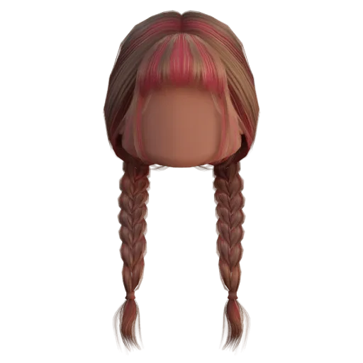 Pigtail Braids Hair