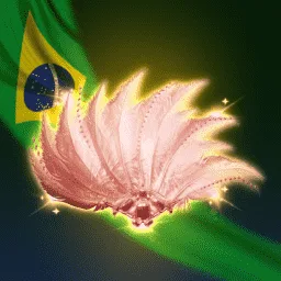 Brazil Fan