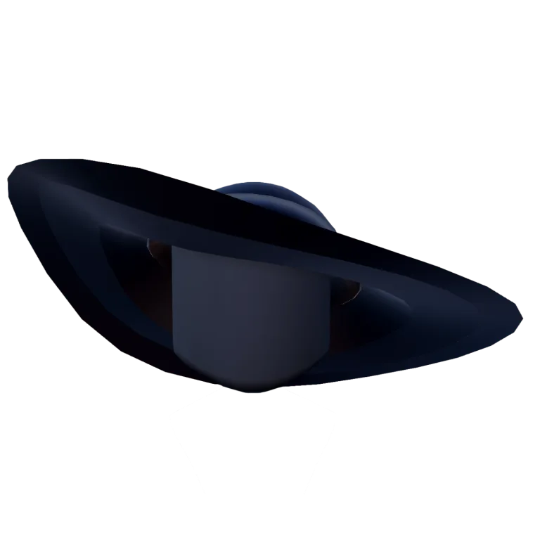 Glamorous Sunhat