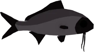 Black-mouth Beardfish