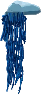 Boreal Man o' War