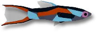 Endler's Livebearer in Fisch