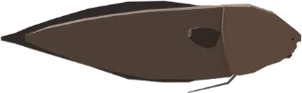 Faceless Cusk