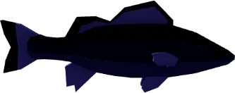 Formosa Seabass