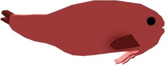 Long-Barbel Snailfish