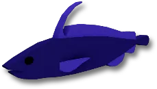 Pacific Flatnose