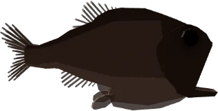 Pacific Hatchetfish