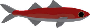Papillated Redbait em Fisch