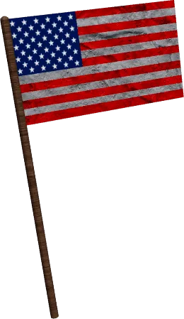 Patriotic Flag
