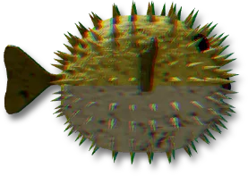 Pumice Puffer
