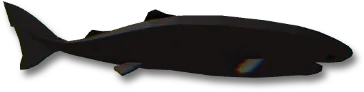 Shatterjaw Shark