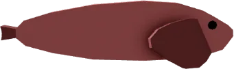 Spiny Snailfish