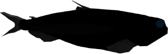 Stout Blacksmelt