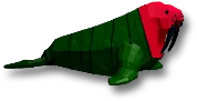 Watermelon Walrus