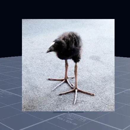 Pukeko